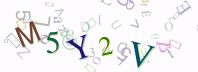 This is a captcha-picture. It is used to prevent mass-access by robots. (see: www.captcha.net)